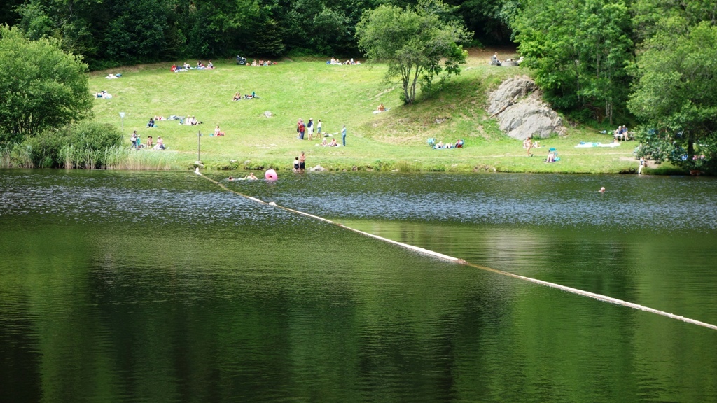 Weiher mit Liegewiese